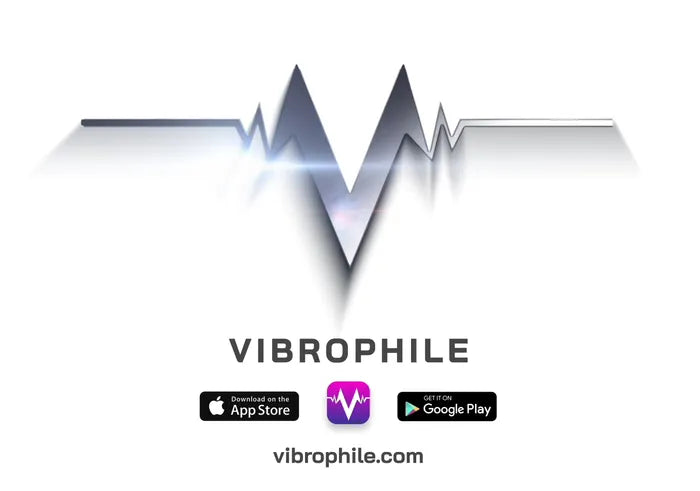 V.I.B.E.S 3.2 - LT System
