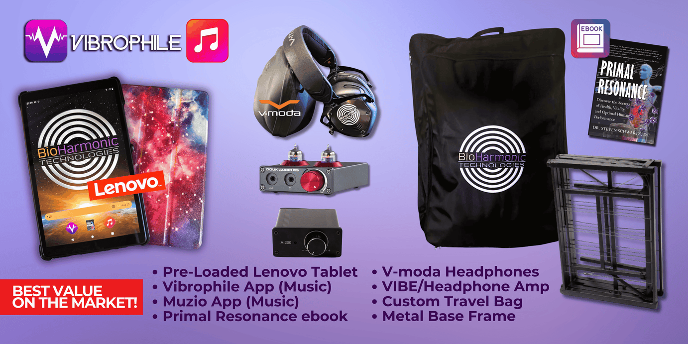 V.I.B.E 3.2 Portable Wellness System